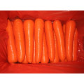 300g und frische Karotte